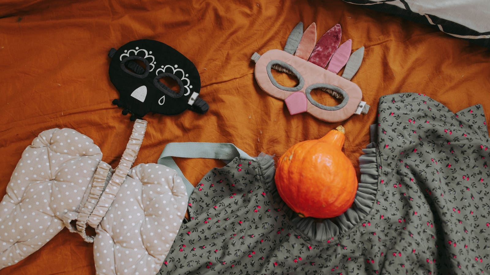 Toy and Halloween Costume Swap in Ottawa-Gatineau