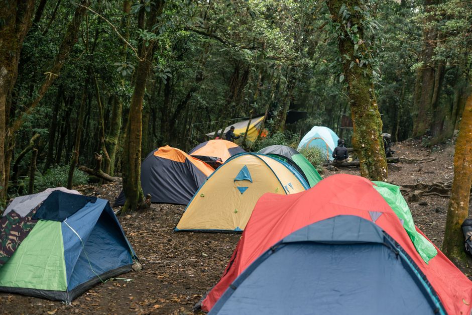 Cliquer pour agrandir Tente de camping 4 personnes